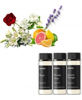 Sweet Home Collection aroomidifuusor Bergamott ja Talvigeel 200 ml