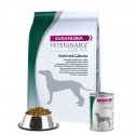 Eukanuba ETERINARY DIETS 12 kg Täiskasvanu Kana, Türgi Eukanuba ETERINARY DIETS 12 kg Täiskasvanu Kana, Türgi
