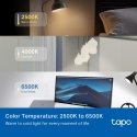 TP-Link Tapo L430P Išmanioji lemputė Wi-Fi/Bluetooth TP-Link Tapo L430P Išmanioji lemputė Wi-Fi/Bluetooth