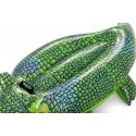 Bestway 41477 baseina un pludmales peldpūslis Zaļš Modelis Brauc peldot