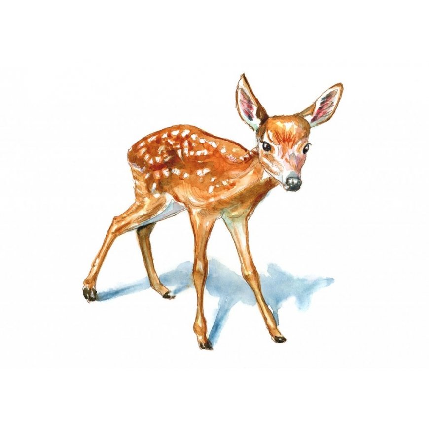 Deers Little fine turquoise deer Miss Marry