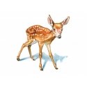 Deers Little fine turquoise deer Miss Marry Deers Little fine turquoise deer Miss Marry