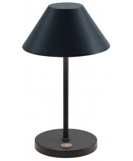 Stalinis LED šviestuvas Zyle Table Lamp ZY15311A, įkraunamas, IP44, juodas