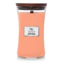 WoodWick 10.17539.076E wax candle Cylinder Manuka Orange 1 pc(s) WoodWick 10.17539.076E wax candle Cylinder Manuka Orange 1 pc(s)