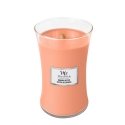 WoodWick 10.17539.076E vaska svece Cilindrs Manuka Oranžs 1 pcs WoodWick 10.17539.076E vaska svece Cilindrs Manuka Oranžs 1 pcs