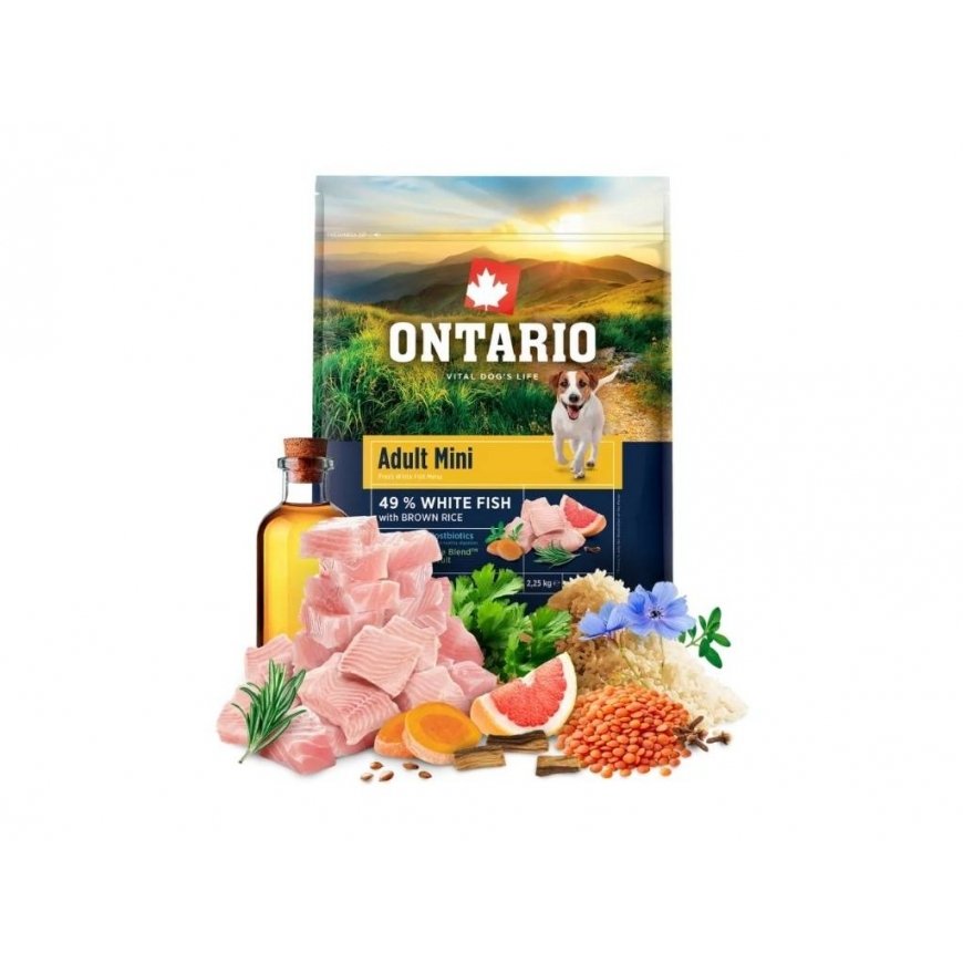 Ontario Adult Mini kala & pruun riis 2.25kg