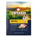 Ontario Adult Mini kala & Ruskeat riisit 2,25 kg Ontario Adult Mini kala & Ruskeat riisit 2,25 kg