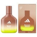Adidas Vibes Dream Glaze parfümipihusti 50ml Adidas Vibes Dream Glaze parfümipihusti 50ml