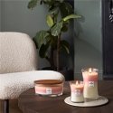 WoodWick Blooming Orchard Trilogy Medium Jar восковая свеча Круглый Оранжевый, Розовый, Белый 1 шт WoodWick Blooming Orchard Trilogy Medium Jar восковая свеча Круглый Оранжевый, Розовый, Белый 1 шт