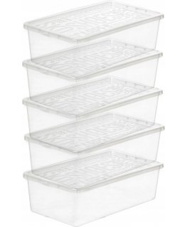 Moterys batų dėžutė Plast Team Basic 5 vnt.
