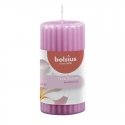 Bolsius True Scents Scented Candle 120x58mm Magnolia Bolsius True Scents Scented Candle 120x58mm Magnolia