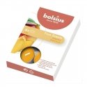 Bolsius True Scents Tealights Scented Candles Mango 6pcs Bolsius True Scents Tealights Scented Candles Mango 6pcs