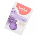 Bolsius True Scents Ароматические Чайные Свечи Лаванда 6шт Bolsius True Scents Ароматические Чайные Свечи Лаванда 6шт