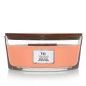 WoodWick Manuka Nectar wax candle Ellipse Fruity Orange 1 pc(s) WoodWick Manuka Nectar wax candle Ellipse Fruity Orange 1 pc(s)