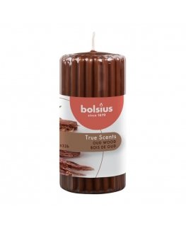 Bolsius True Scents Aromātiskā Svece 120x58mm Oud Wood