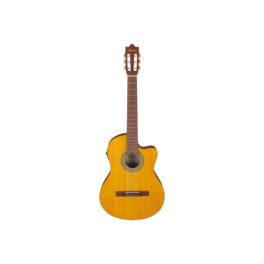 Ibanez GA3ECE-OAM ģitāra ar mikrofonu