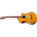 Ibanez GA3ECE-OAM gitara su mikrofonu