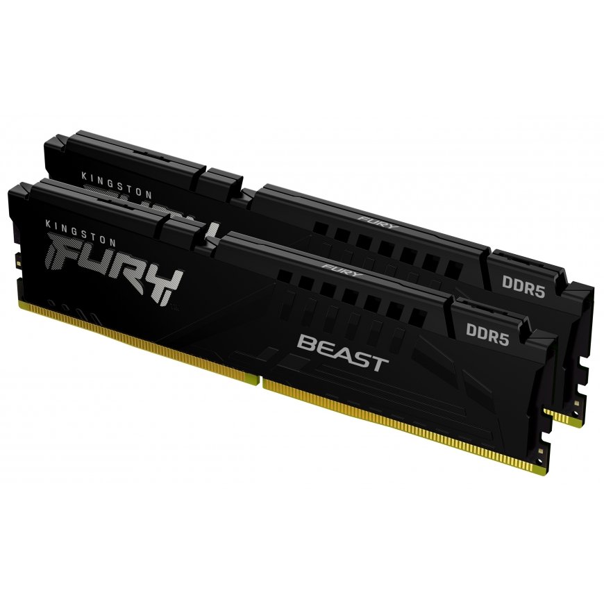 Kingston Technology Kingston Technology FURY Beast