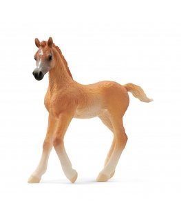 schleich HORSE CLUB Arabian Foal