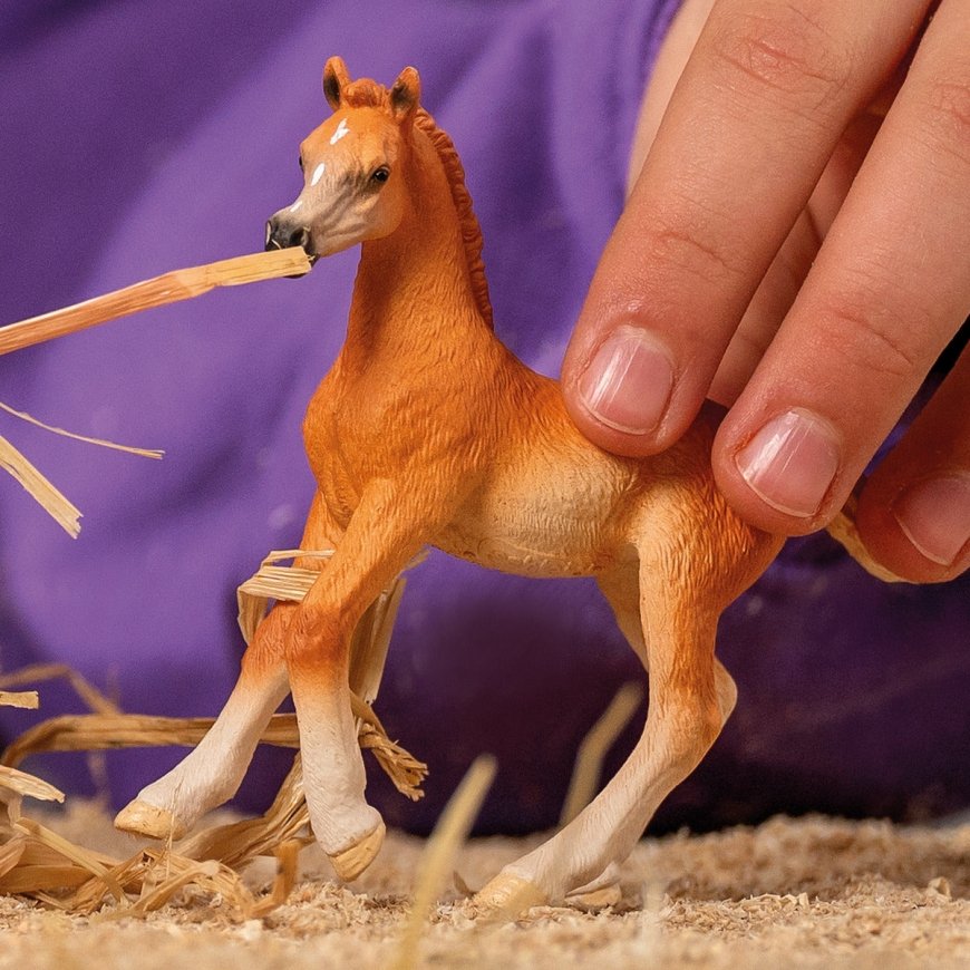 schleich HORSE CLUB Arabian Foal – 2