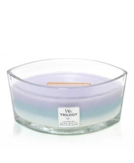 WoodWick 76965 vaško žvakė Kiti Eukaliptas, Lavanda Mėlyna, Violetinė, Balta 1 vnt