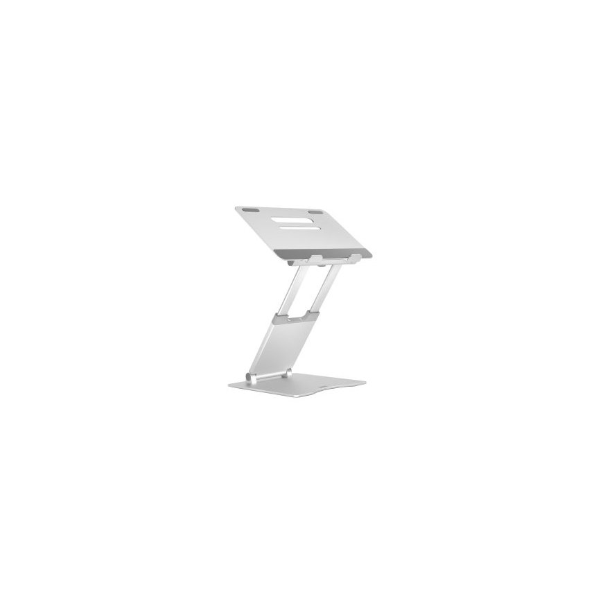 DESQ Notebook Stand, Adjustable
