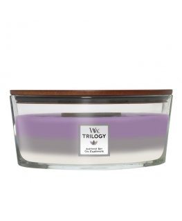 WoodWick Amethyst Sky Trilogy wax candle