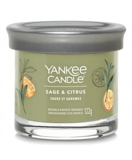 Yankee Candle Sage & Citrus vaska svece Cilindrs Zaļš 1 pcs