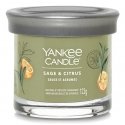 Yankee Candle Sage & Citrus vaska svece Cilindrs Zaļš 1 pcs Yankee Candle Sage & Citrus vaska svece Cilindrs Zaļš 1 pcs