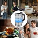 ProfiCook PC-WKS 1228 G электрический чайник 0,5 L 1100 W Нержавеющая сталь, Прозрачный