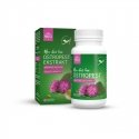 Pokusa Raw Diet Line Atlantic Salmon Oil 1000ml Pokusa Raw Diet Line Atlantic Salmon Oil 1000ml