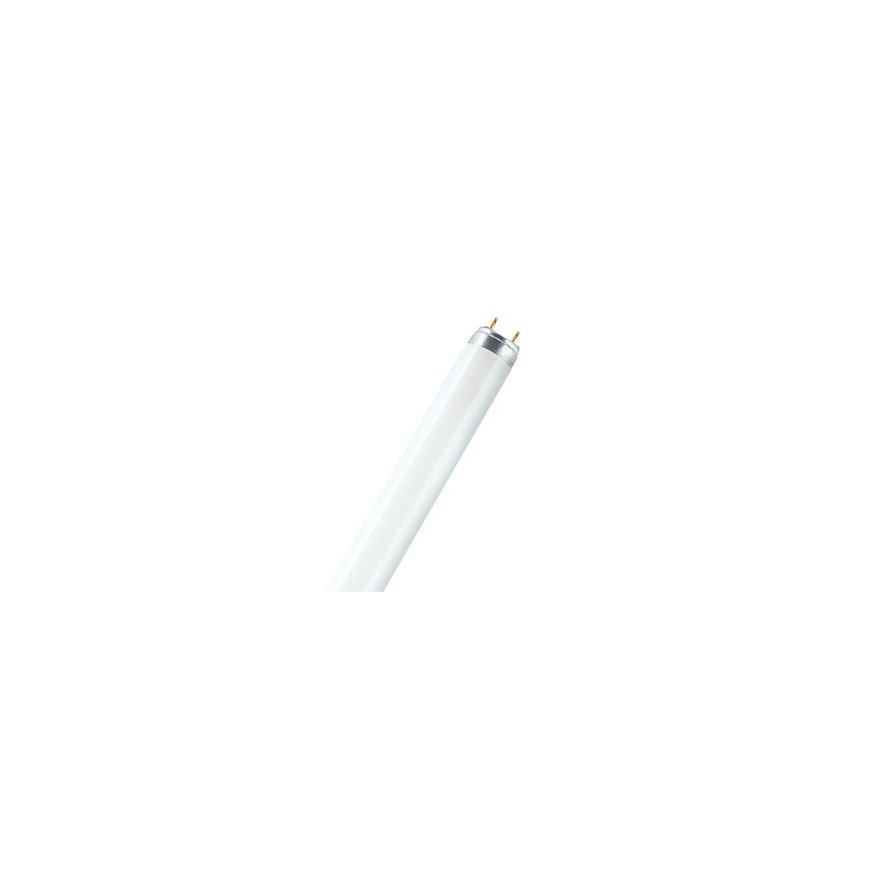 Osram L 18 W/830 luminofoorpirn G13 Soe valge
