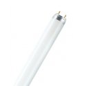 Osram L 18 W/830 fluorescent bulb G13 Warm white