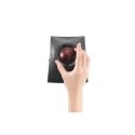 Kensington K72080WW pele Birojs Abām rokām RF Wireless + Bluetooth + USB Type-A Optisks 1600 DPI
