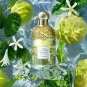 Guerlain Aqua Allegoria Bergamote Calabria Eau de Toilette 125ml Guerlain Aqua Allegoria Bergamote Calabria Eau de Toilette 125ml