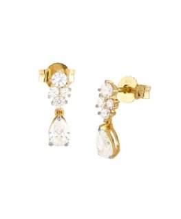 Guess Gold plated heart earrings with cubic zirconia Jardin JSBE04455JWYGT/U