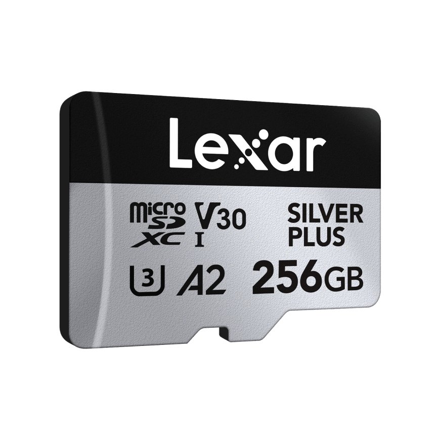 Lexar Professional SILVER PLUS 256 GB