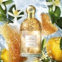 Guerlain Aqua Allegoria Nettare Di Sole 125 ml Sievietes Guerlain Aqua Allegoria Nettare Di Sole 125 ml Sievietes