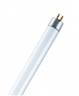 Osram Lumilux T5 HE loistelamppu 14 W G5 Viileä valkoinen