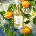 Guerlain Aqua Allegoria - Mandarine Basilic 125 ml Moteriškas Guerlain Aqua Allegoria - Mandarine Basilic 125 ml Moteriškas