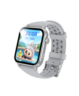 Borofone Smartwatch BD15 silver