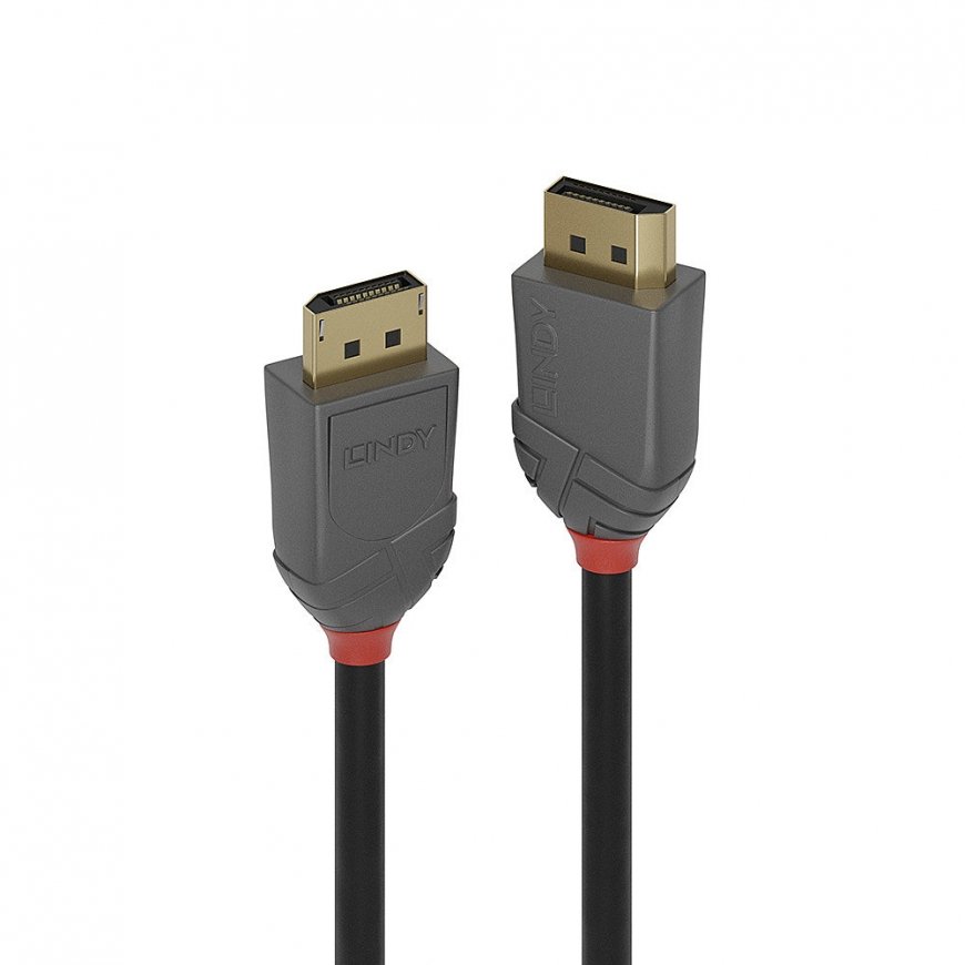 Lindy 36481 „DisplayPort“ kabelis 1 m Juoda, Pilka