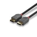 Lindy 36481 DisplayPort-kaapeli 1 m musta, Harmaa Lindy 36481 DisplayPort-kaapeli 1 m musta, Harmaa