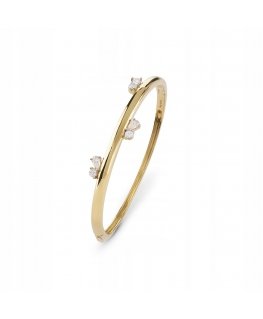 Guess elegantiškas apyrankė auksu padengtas sidabras Nuances JSBB04512JWYG