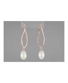 Shimmering Silver Earrings "Jardin JSBE04496JWRHT/U"