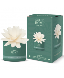 Sweet Home Collection Humidifier Aroma Diffuser "Birch Bark and White Amber", 200 ml