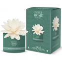 Sweet Home Collection Humidifier Aroma Diffuser "Birch Bark and White Amber", 200 ml Sweet Home Collection Humidifier Aroma Diffuser "Birch Bark and White Amber", 200 ml