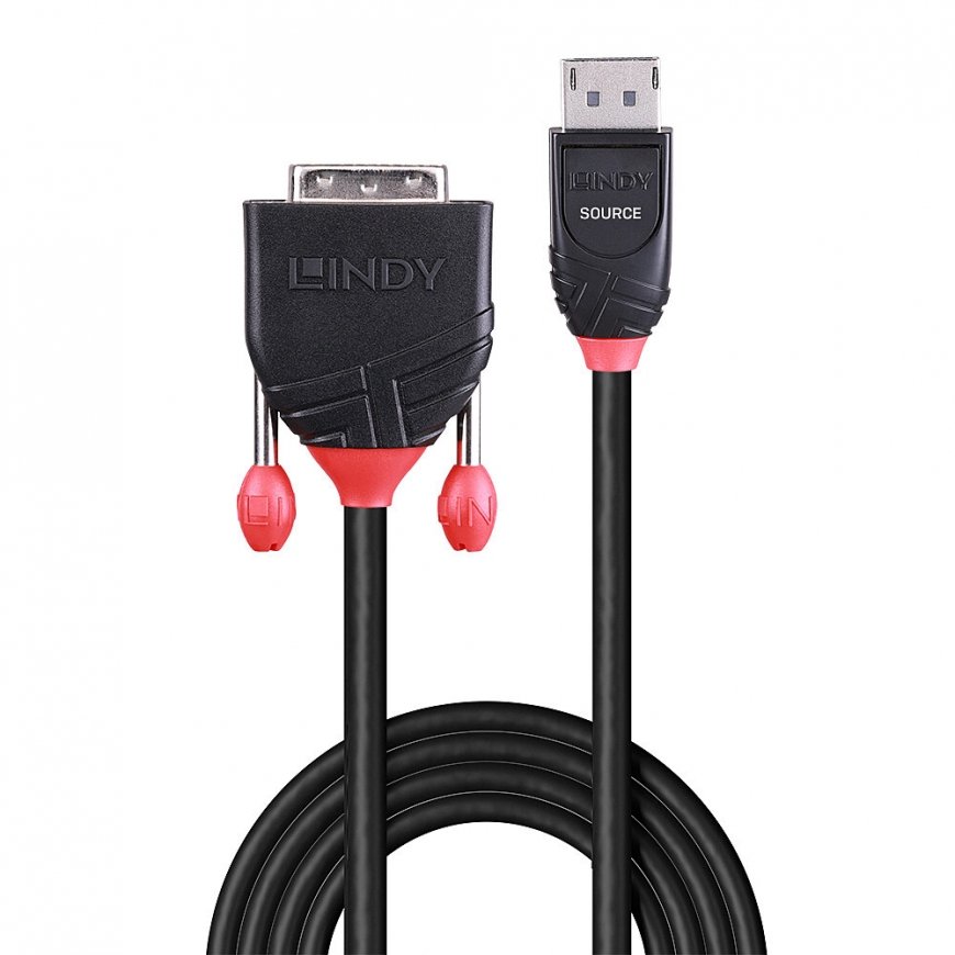 Lindy 41491 videokaapeli-adapteri 2 m DisplayPort DVI-D musta – 2