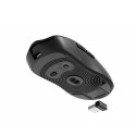 GENESIS Zircon 500 pele Speļu Labā roka RF Wireless + Bluetooth + USB Type-C Optisks 10000 DPI GENESIS Zircon 500 pele Speļu Labā roka RF Wireless + Bluetooth + USB Type-C Optisks 10000 DPI
