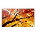Sharp MultiSync M322 Digital signage flat panel 81.3 cm (32") LCD 550 cd/m² Full HD Black